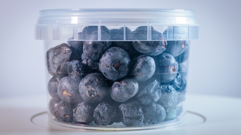 Airtight container full of fresh blueberries