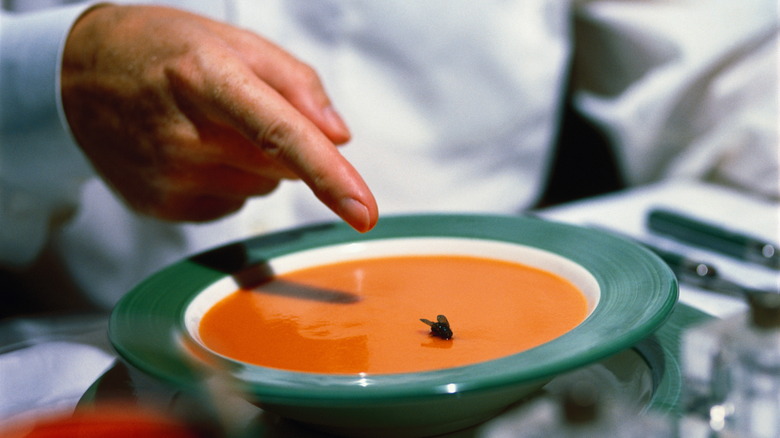 A hand pointing to a fly in a bowl of soup
