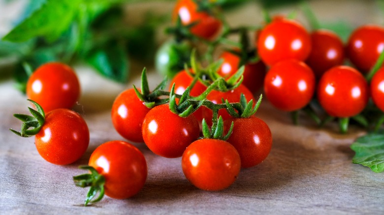 tomatoes on the vine