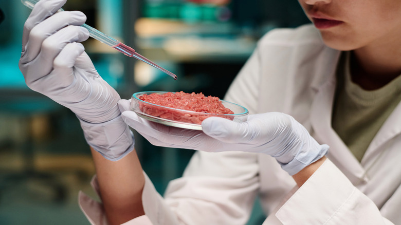 Scientist in lab coat and gloves conducting a test on a sample of ground beef