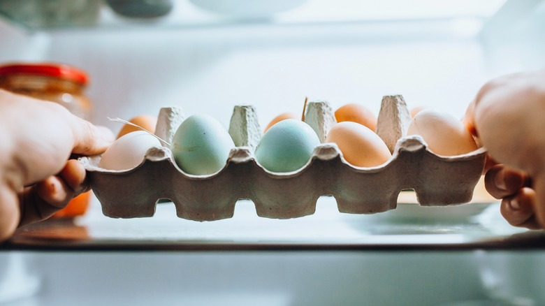 carton of blue and brown chicken eggs
