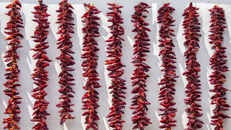 Espelette peppers drying in the sun in France