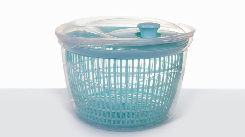 Salad spinner