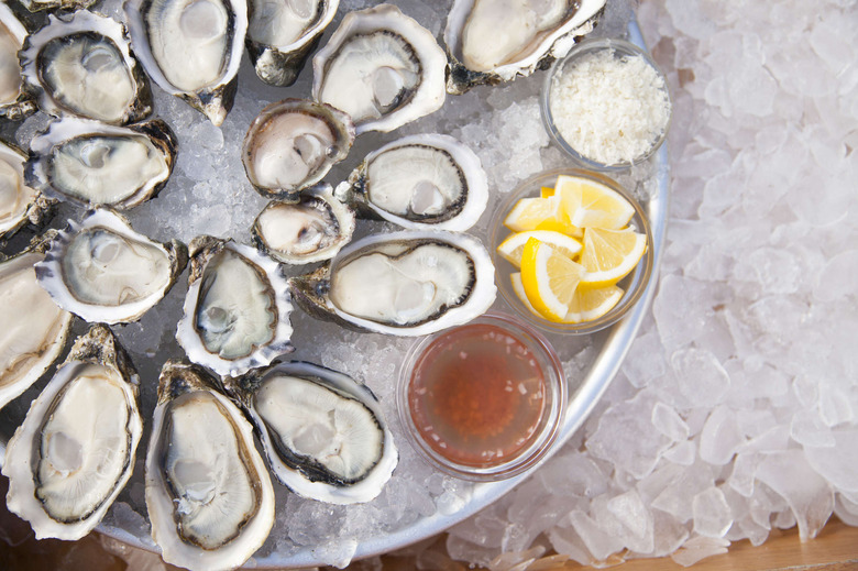 Taylor-Shellfish_How-to-shuck06