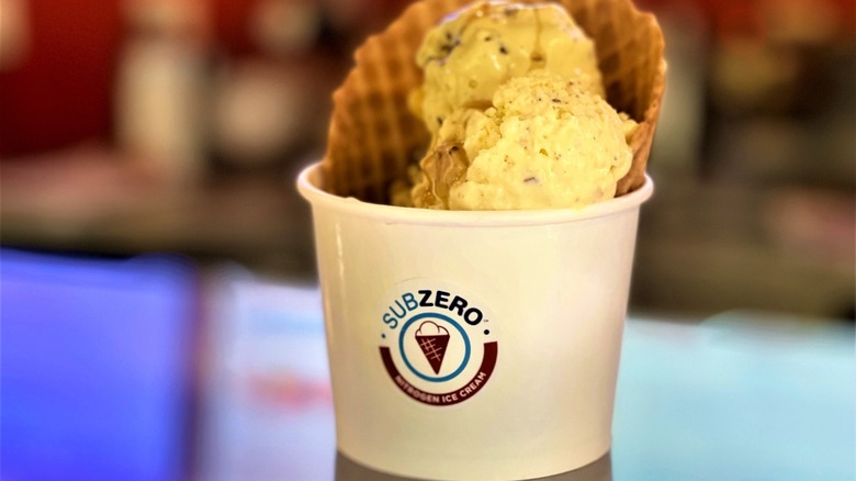 A cup of Sub Zero Nitrogen Ice Cream