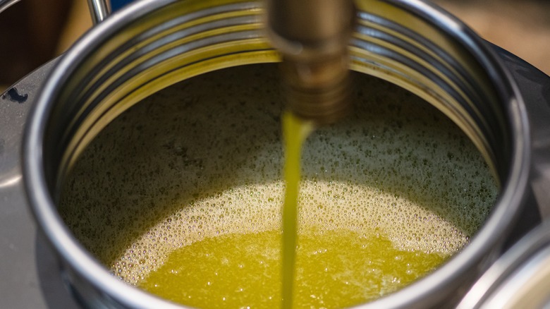 Fresh cold pressed olive oil
