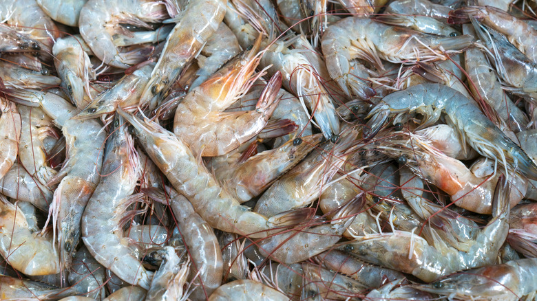 A pile of fresh, raw shrimp