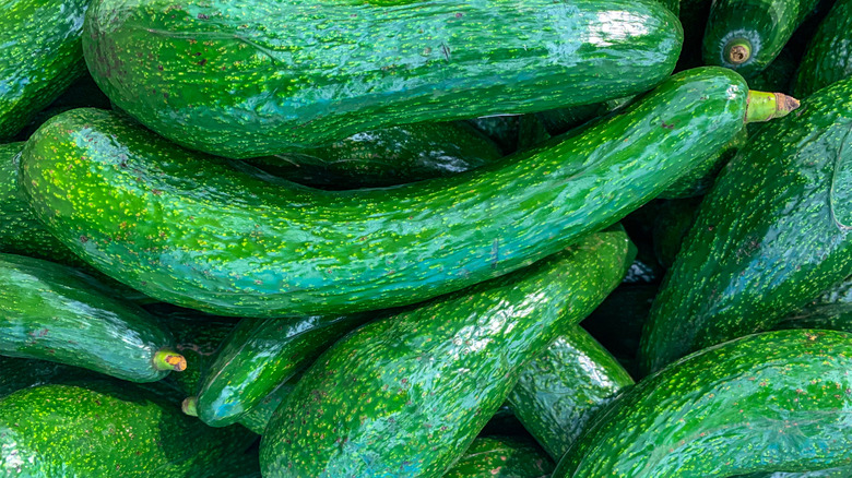 pile of long-neck avocados