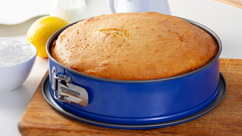 A beautifully domed and brown sponge cake rests in a blue baking pan