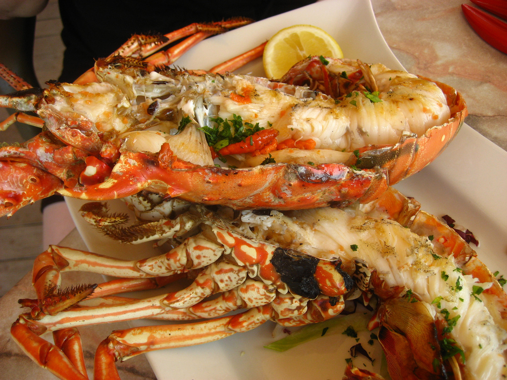 Grilled Lobster 
